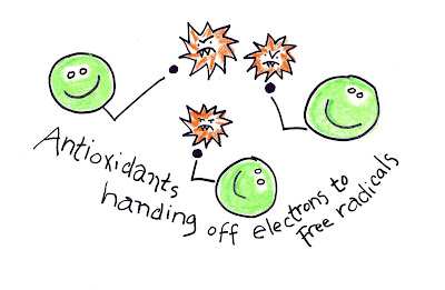 This fun illustration shows antioxidants handing off an electron to those nasty free radicals. Click image to view original article.